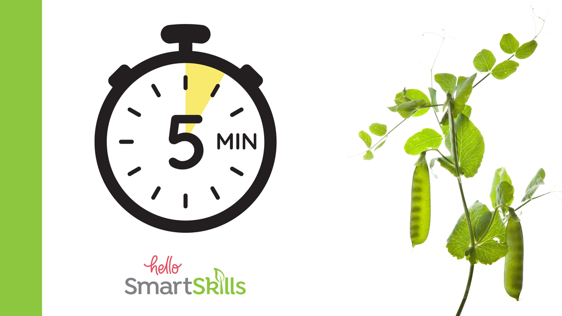 Grow a thinking team in five minutes. Skillpod
